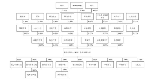 中微半導(dǎo) 背靠明星機(jī)構(gòu)，集成電路設(shè)計(jì)領(lǐng)域的科創(chuàng)板“芯”力量
