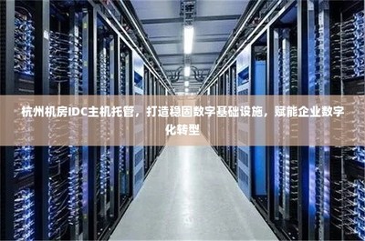 杭州IDC主機(jī)托管 穩(wěn)固數(shù)字基礎(chǔ)設(shè)施，引領(lǐng)企業(yè)數(shù)字化轉(zhuǎn)型的堅(jiān)實(shí)基石